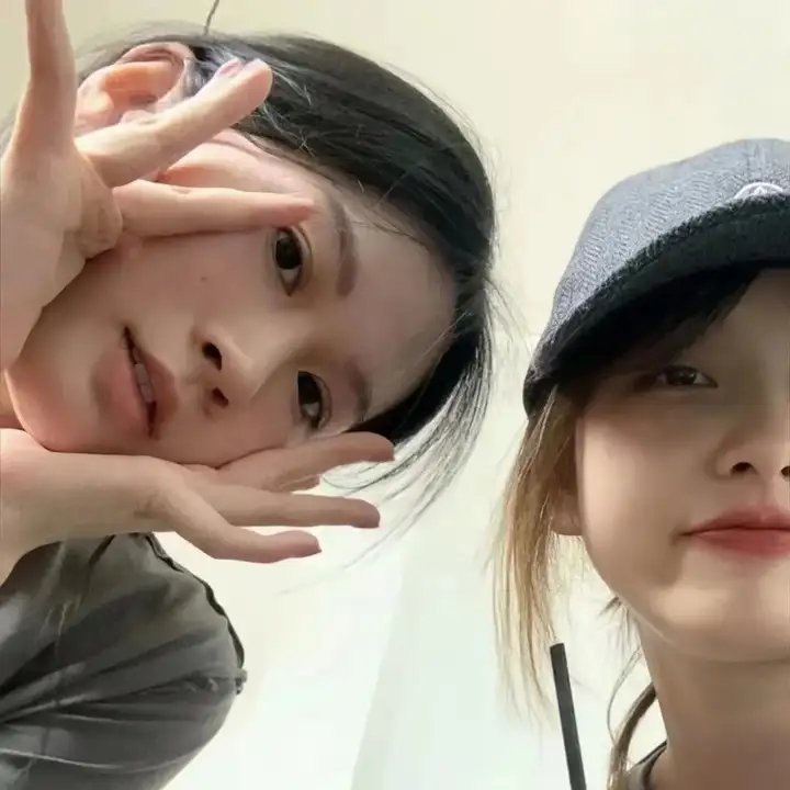 合子异种